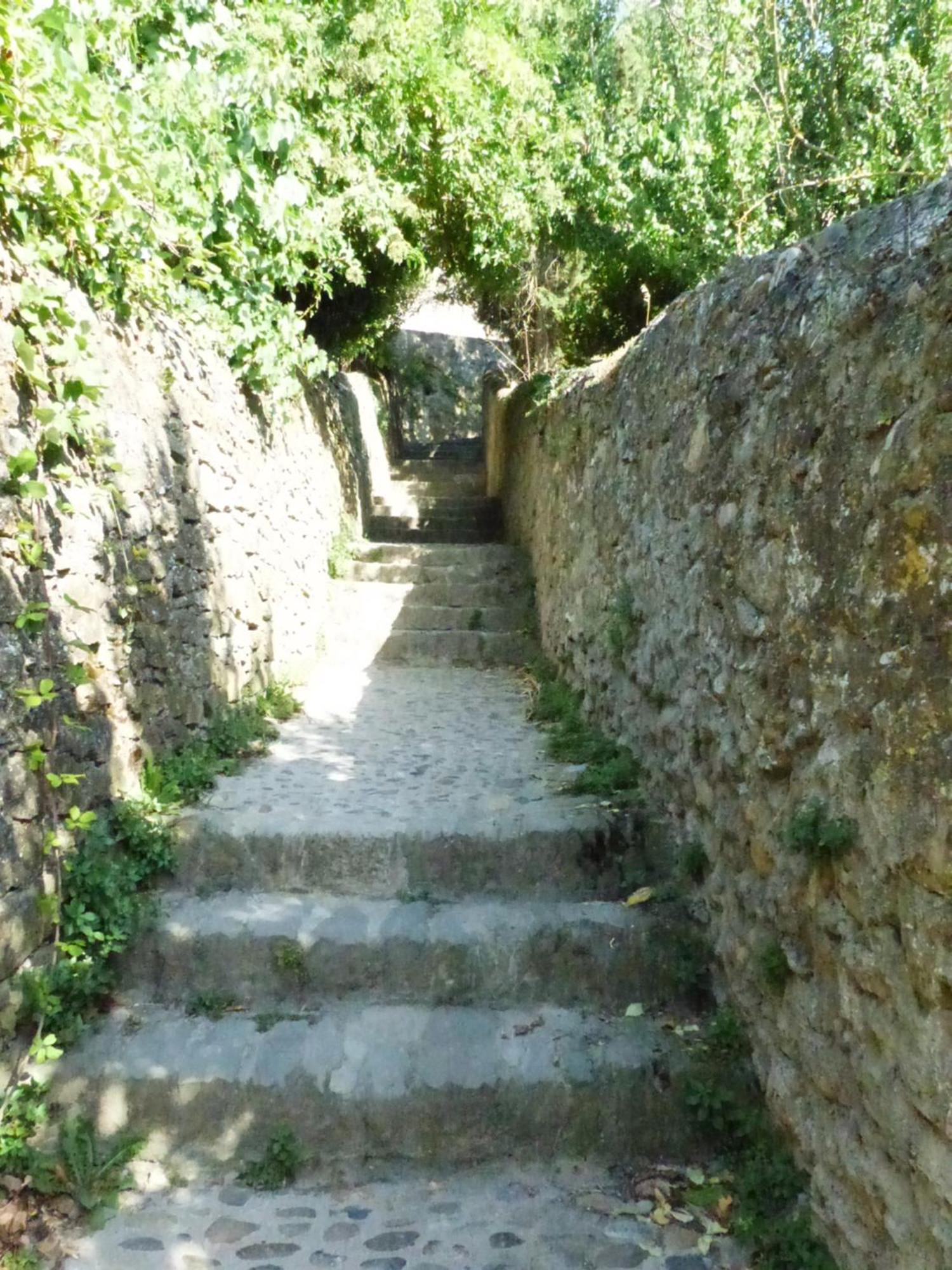 Gite De La Cite Villa Carcassonne Eksteriør billede