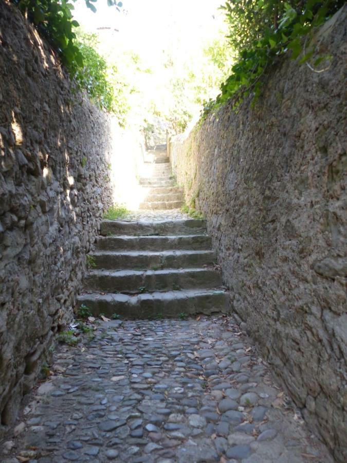 Gite De La Cite Villa Carcassonne Eksteriør billede